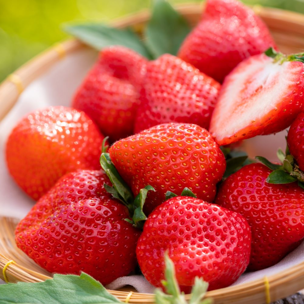 비교불가 무한달콤 산지직송 귀족딸기 비타베리, 1박스, 750g(특24구) 28,800원