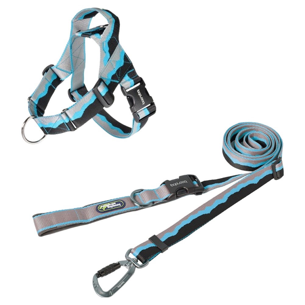 분독 강아지 하이브리드리쉬 리드줄 + 0109 하네스 세트, 블루, 1세트 112,100원