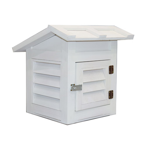 사이언쌤 백엽상 파이프형 모음, 1세트 370,000원