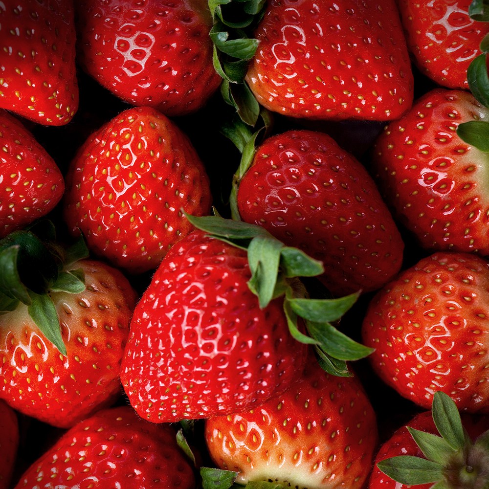 안전포장 새콤달콤 맛있는 국내산 설향딸기, 1개, 1kg (24-40과) 39,500원