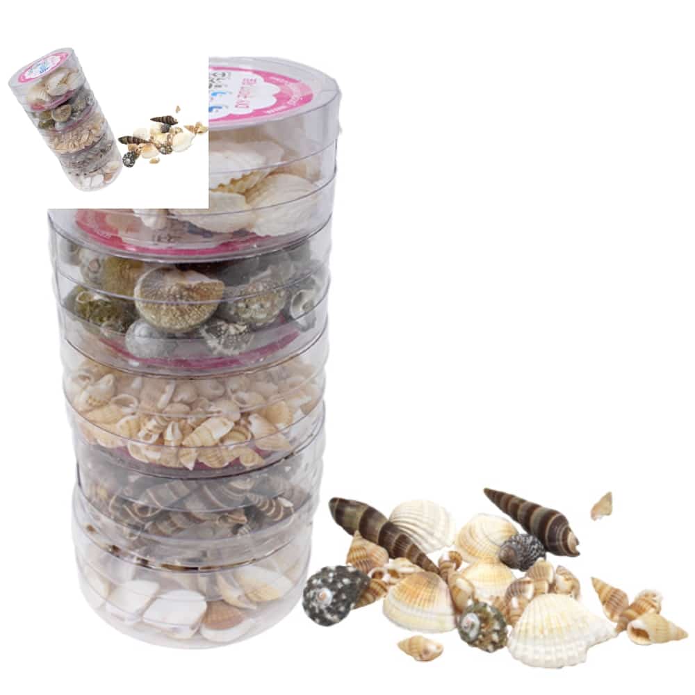 사땨 조개껍질 세트 5종 생태미술재료 조개껍질만들기재료 diy재료 11,000원