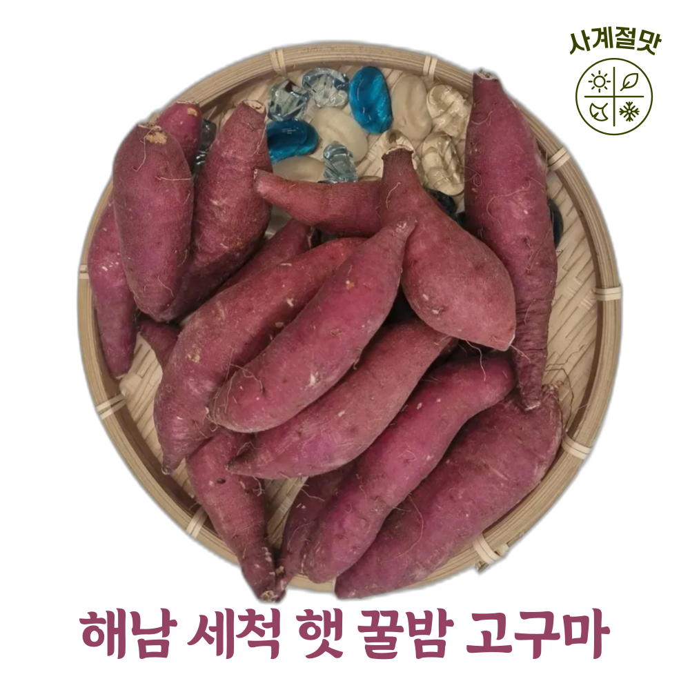 사계절맛 한입에 쏙! 군고구마에 딱!! 국내산 해남 세척 꿀밤 한입 고구마 14,500원