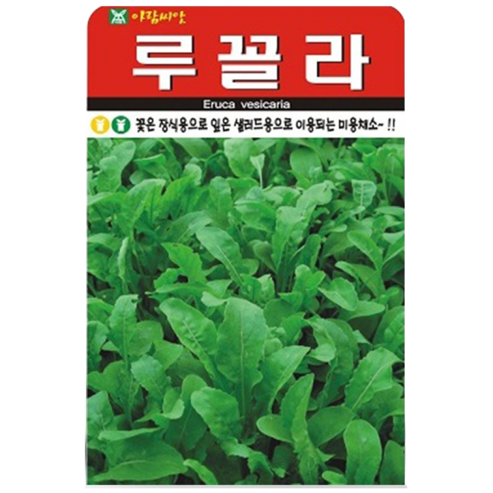 솔림텃밭몰 루꼴라씨앗 2000립 로켓샐러드 루꼴라 미용채소, 4개 9,970원