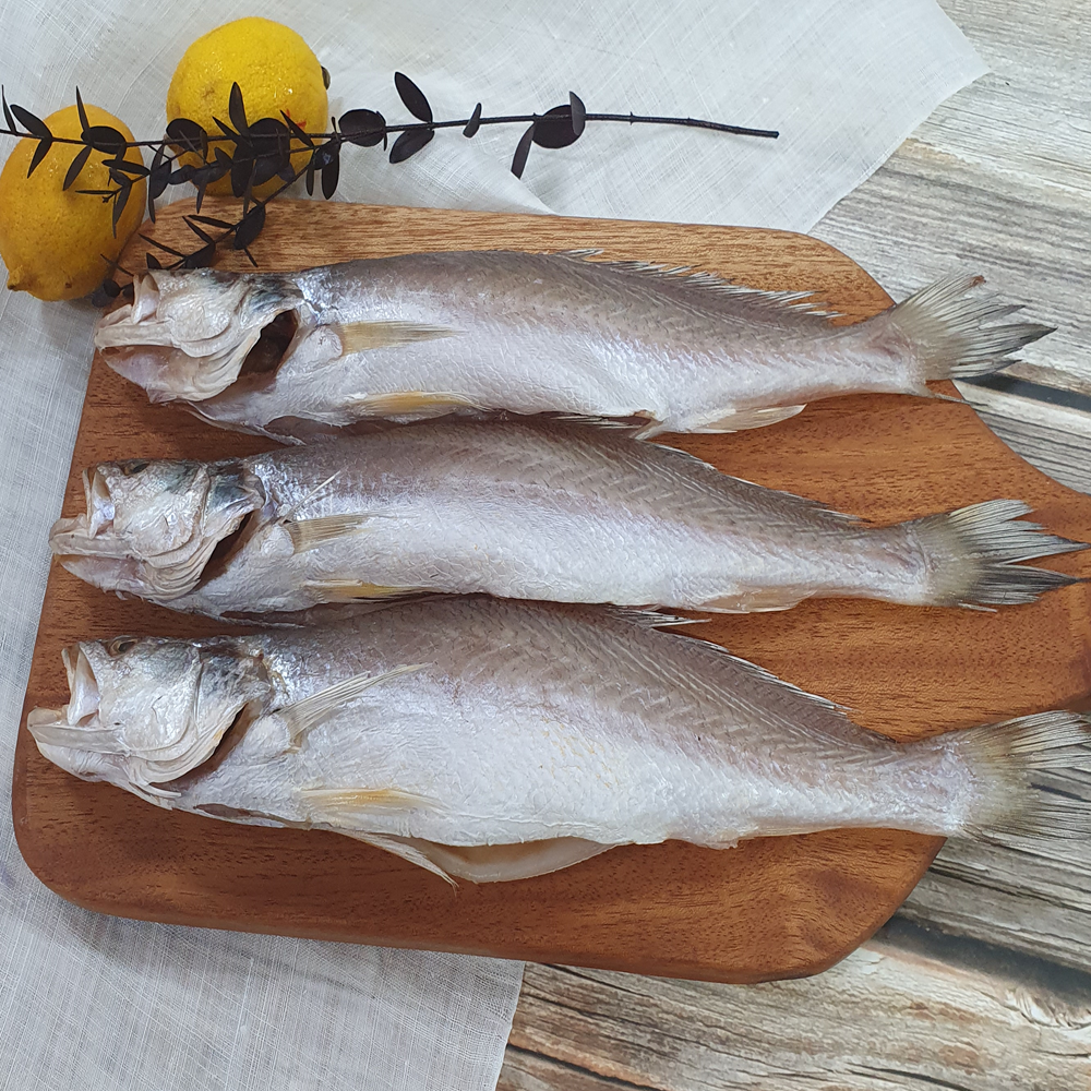 반건조 민어조기 반찬용 제수용 자반조기 부산생선, 1개, 400~450g, 1마리 38cm내외 18,800원