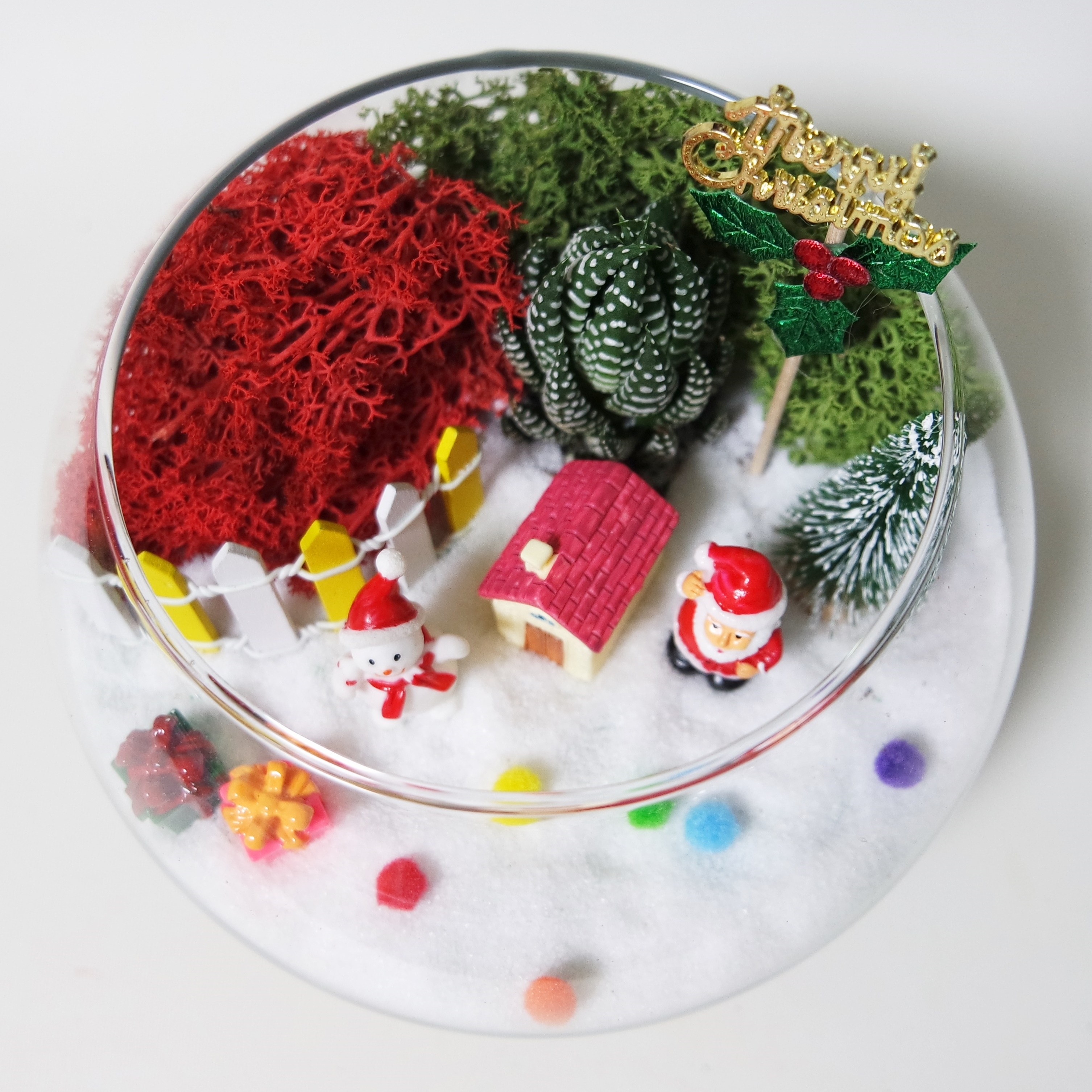 크리스마스 테라리움 만들기키트 / 숲 속에 찾아 온 크리스마스 (식물 랜덤 배송), 1세트 30,000원