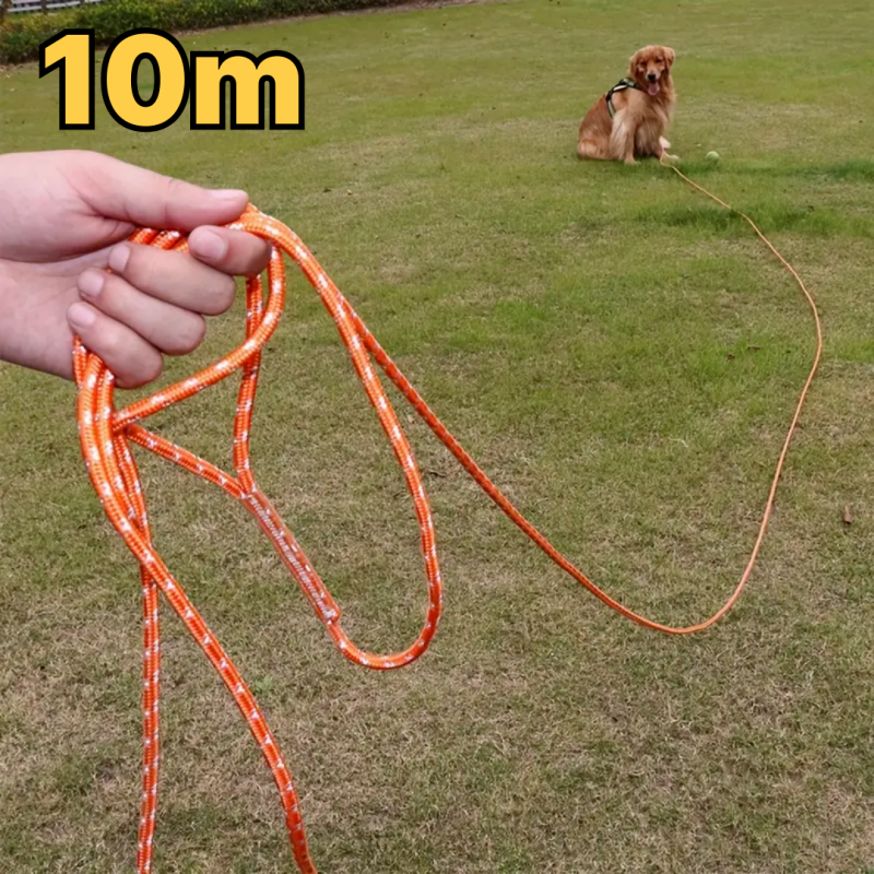 반려동물 산책 훈련용 고강도 반사 로프 리드줄 9,100원