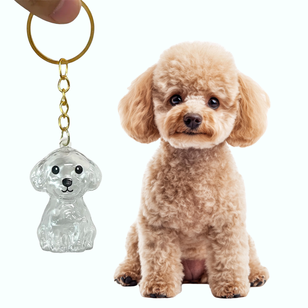 메모리펫 강아지 털 보관 캡슐 메모리얼 키링, 1개, 푸들/비숑/말티즈, 현재가 9,900원