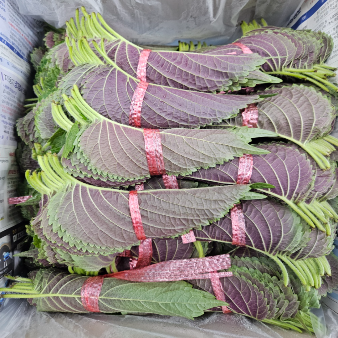 [당일경매] 국내산 밀양 깻잎 5묶음 10묶음 50묶음, 5개, 30g 7,900원