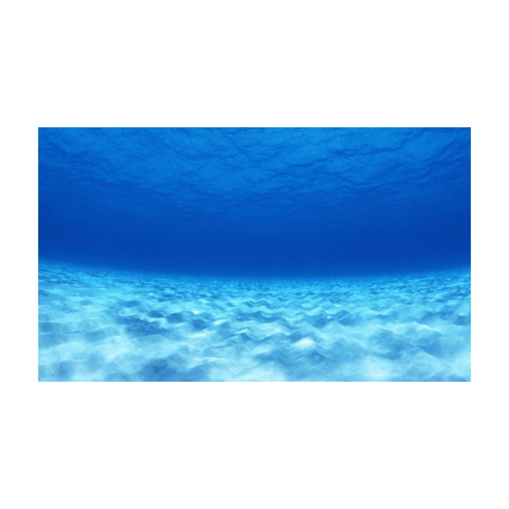 미미네아쿠아 시트지 심해바다 어항 백스크린 (h40x60) 8,000원