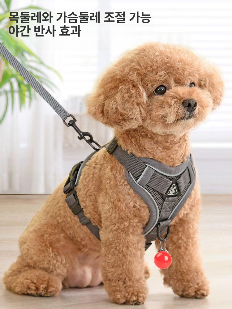 여름용 반사형 강아지 하네스 여름 조절 삼중 메쉬 용품 애완견 산책 반사 가슴띠 훈련 운동 16,400원