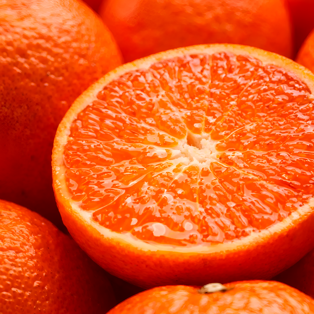 [한정기획초특가] 엄격선별 고당도 제주 레드향 33,800원