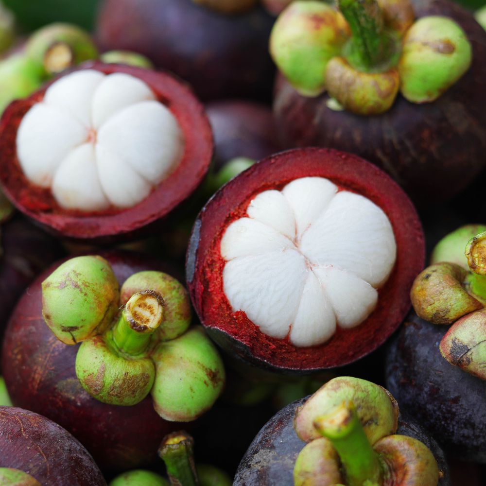 [신선급속냉동] 태국 냉동과일 고품질 망고스틴, 1개, 급속 냉동 5kg 75,100원