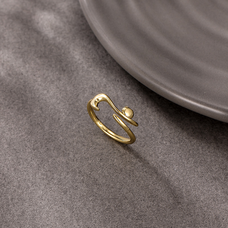 NXNA] 도금 14K 모던 컨디셔닝 생일선물반지 XYL-JZ009 64,500원