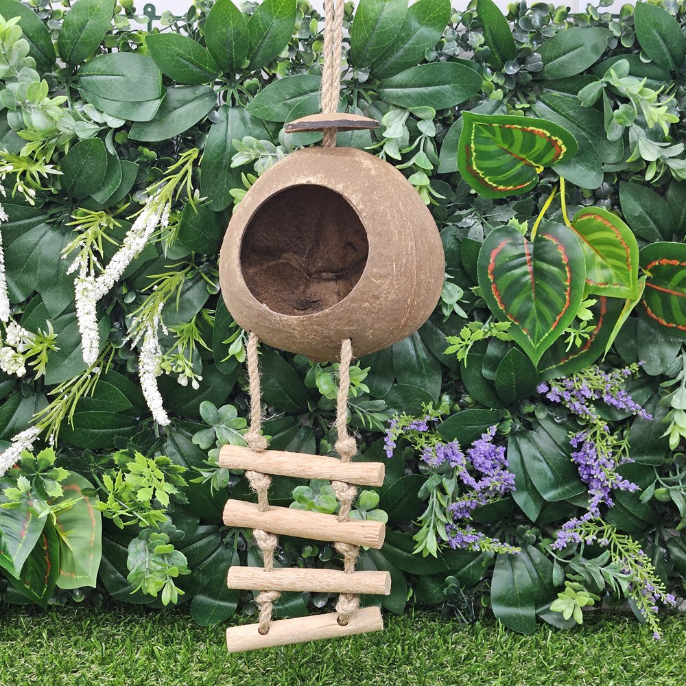 NR 크레스티드 게코 코코넛 은신처 6,500원