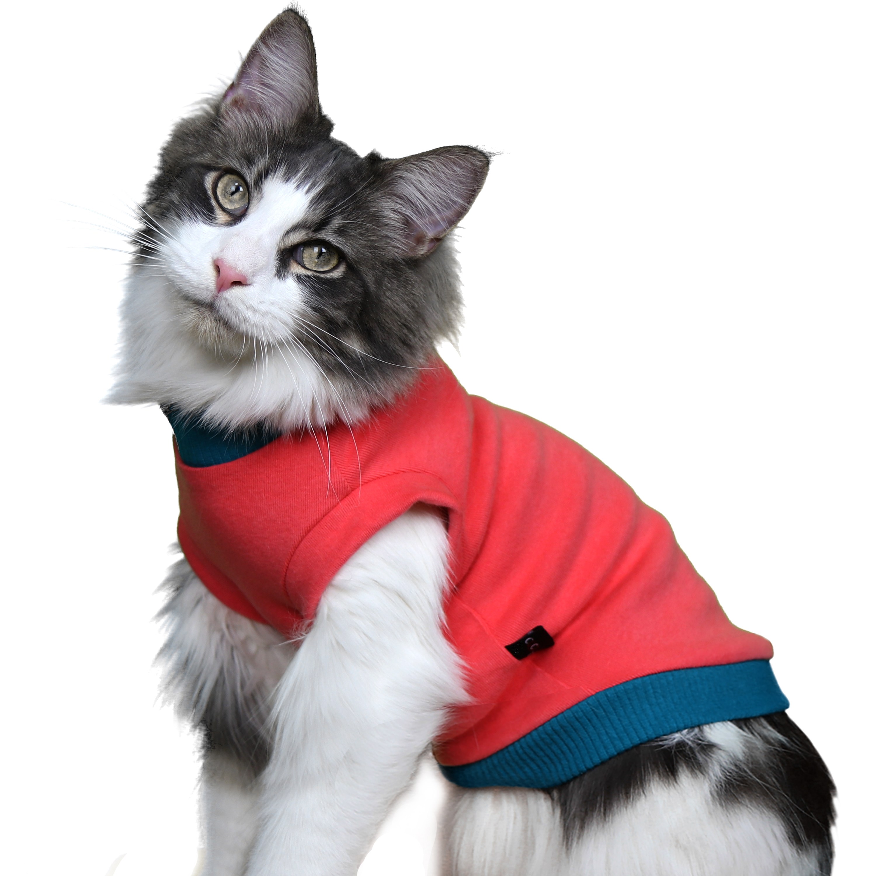 코코테일 고양이 티셔츠, 네온코랄, 1개 23,000원