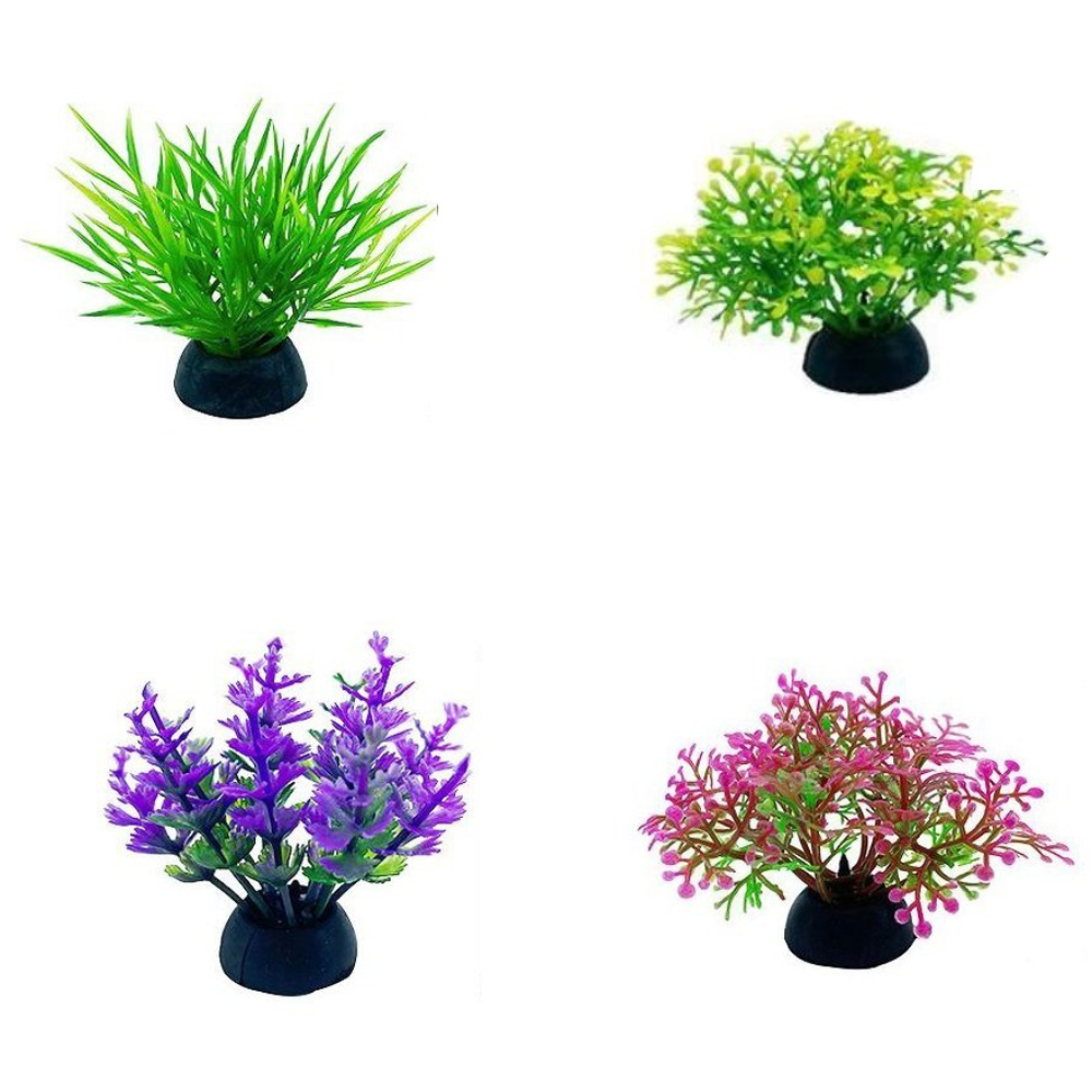 손안의 작은 숲, 미니 수초 4종 (1세트) 4,710원