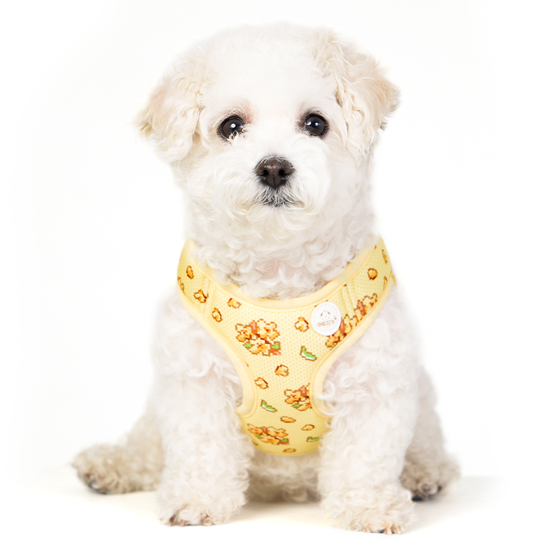 아띠지기 강아지 관절보호 초경량 X형 하네스 10,430원