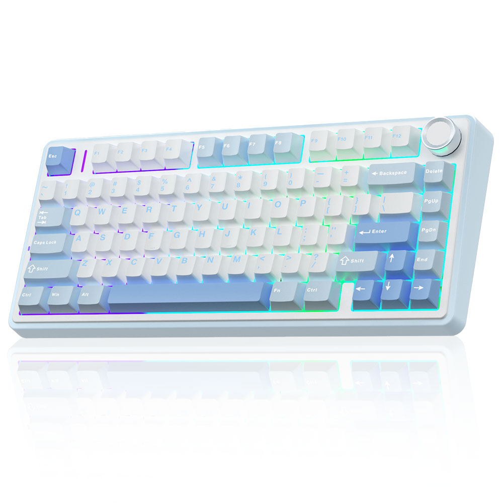 AULA F75유선/무선 독립 키보드 LEOBOG 일반형 기계식 키보드, F75 화이트+블루+그레이, RGB wireless 86,000원