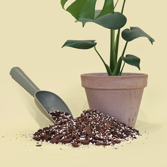 마이플랜트 열대 관엽식물 맞춤 배합토 국산 다육이 전용 분갈이 흙 소포장 11,640원