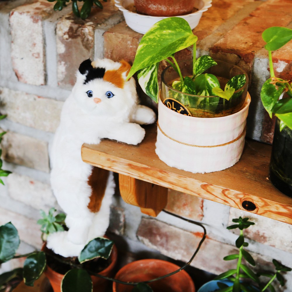 홈인테리어 데롱 매달린 펫 고양이장식 시즌2 8,800원