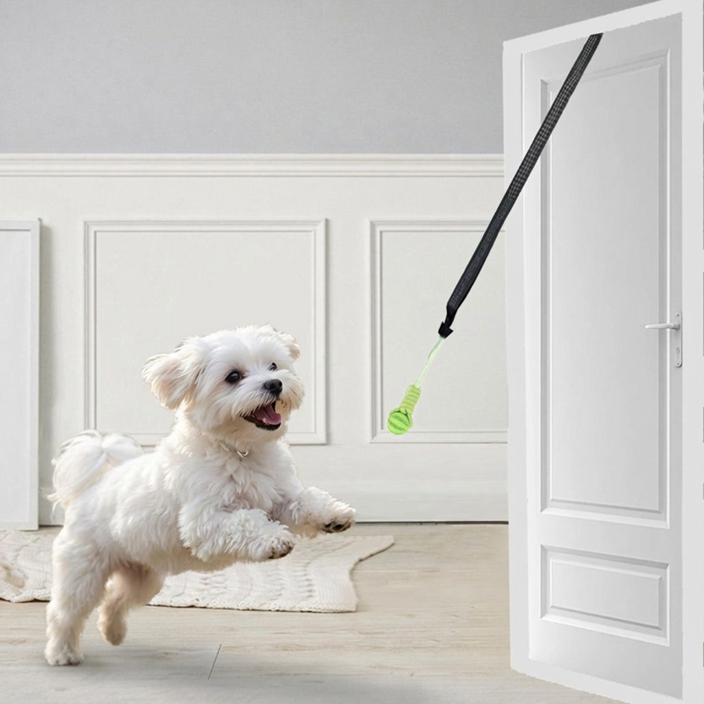 마이둡 강아지 셀프 노즈워크 터그놀이 장난감 23,800원