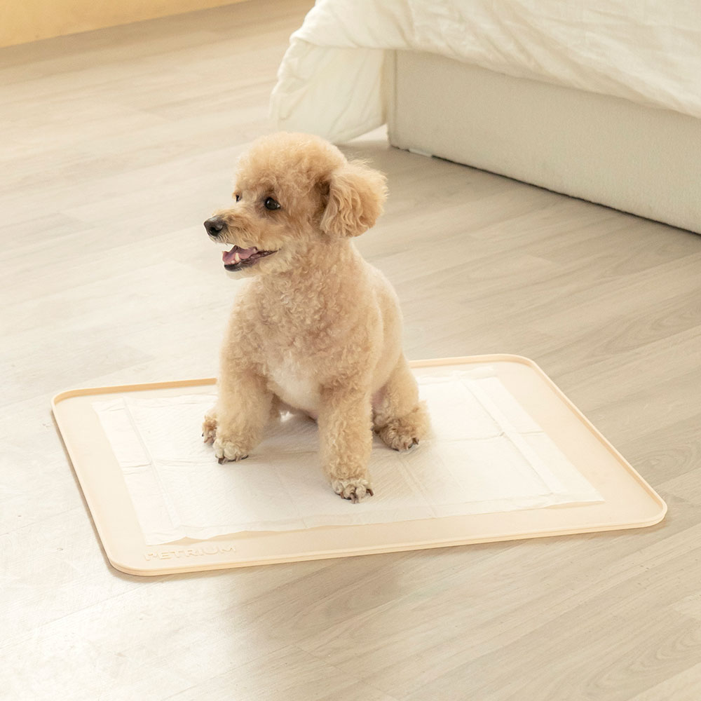 펫트리움 강아지 논슬립 실리콘 배변매트 화장실 19,900원