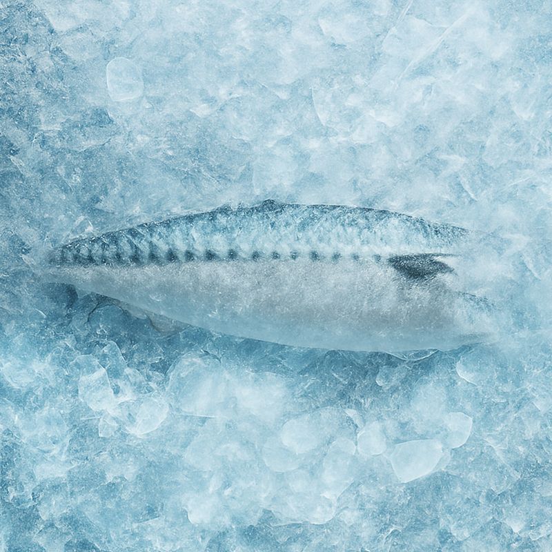 노르웨이 왕특대 고등어 38,400원