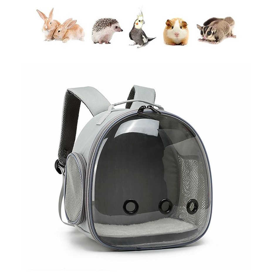 빛깃닥 투명 이동장 투명창 토끼 고슴도치 앵무새등 적용 소형이동장 이동가방 외출용 27,100원
