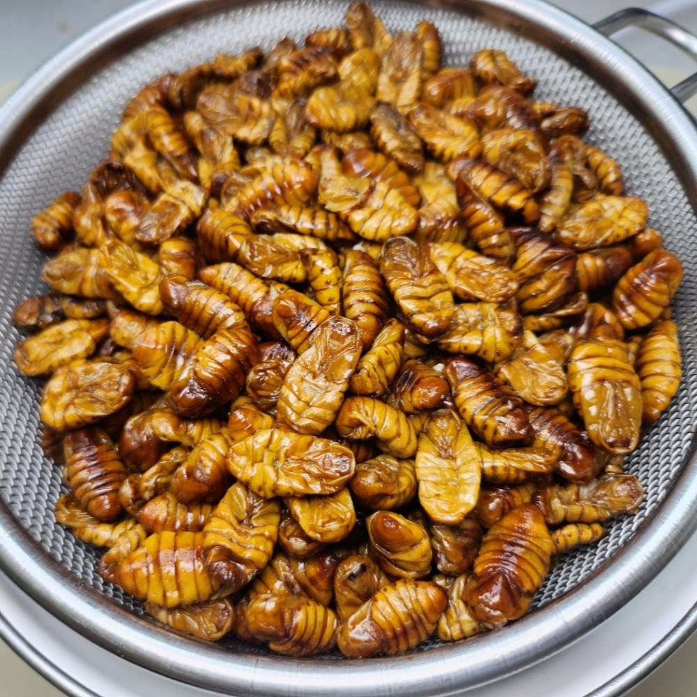 수산잇츠 냉동 번데기 300g, 1개 6,200원