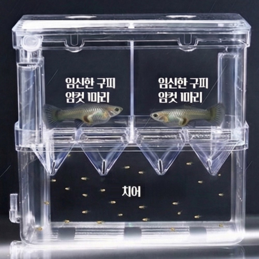 아이레노 구피 열대어 부화통 분리형 구조 치어 보호 산란 관리용 어항용품, 투명, 1세트 13,800원