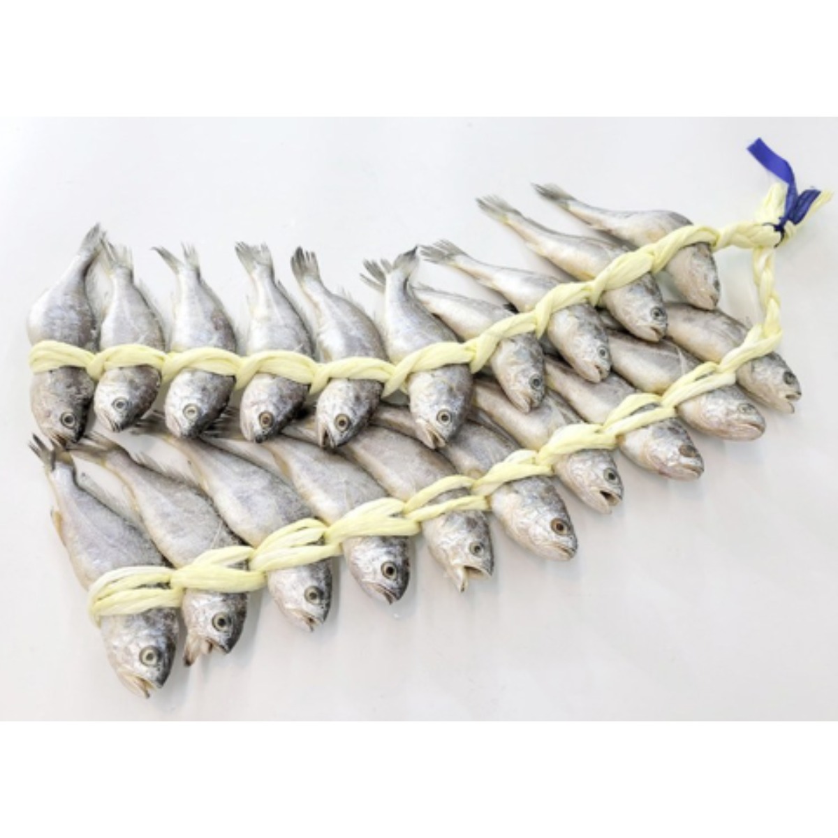 [한정특가 , 당일발송] 영광 법성포 굴비 진공포장세트 , (냉동) 149,900원