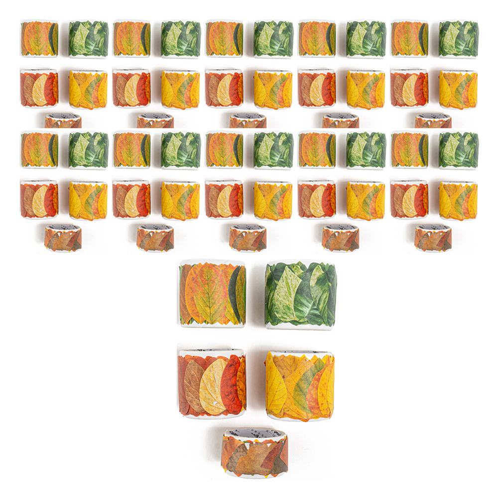민화샵 낙엽 마스킹 테이프 5종 x 10p 세트 P2400020, 혼합색상, 1세트 120,000원