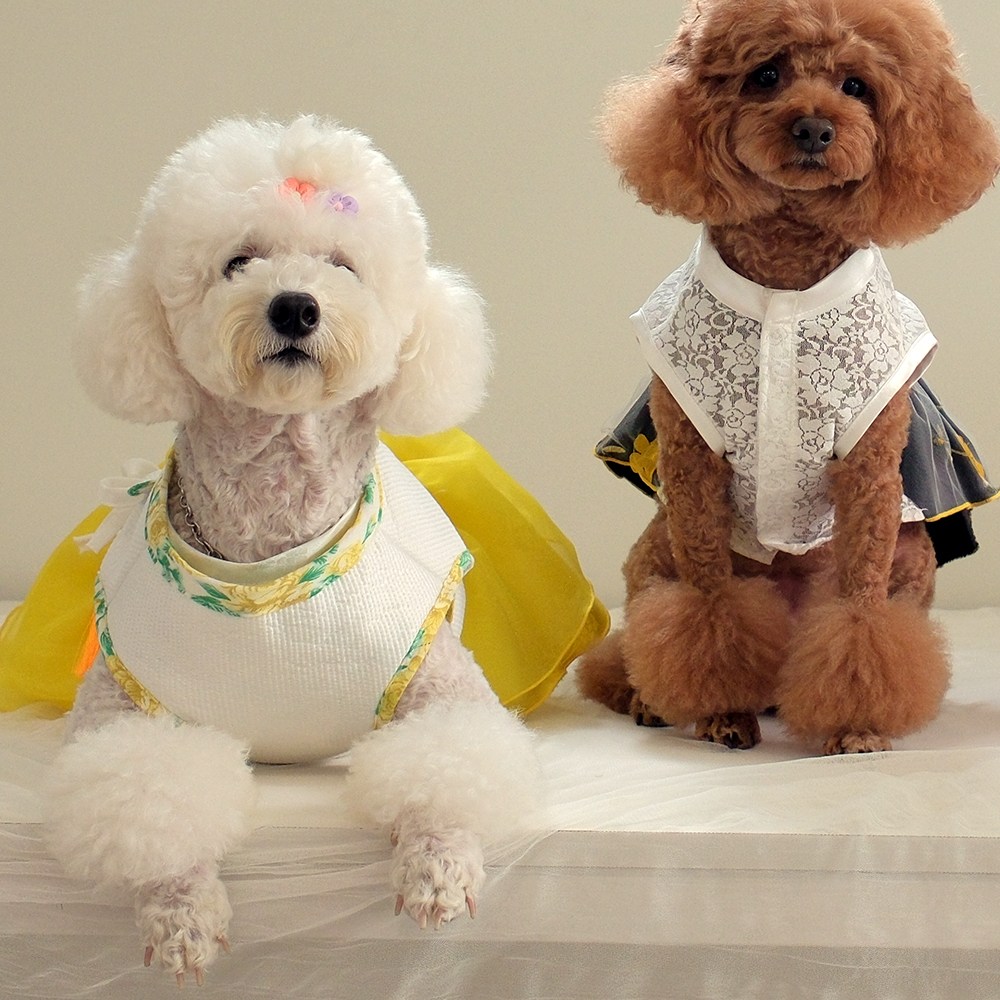 해피앤퍼피 강아지한복 대형견 빅사이즈한복 고양이 고급 한복, 1개 88,250원