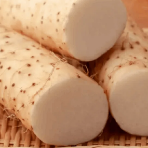 40년장인농부의 한정판매 안동 프리미엄 참마 13,060원