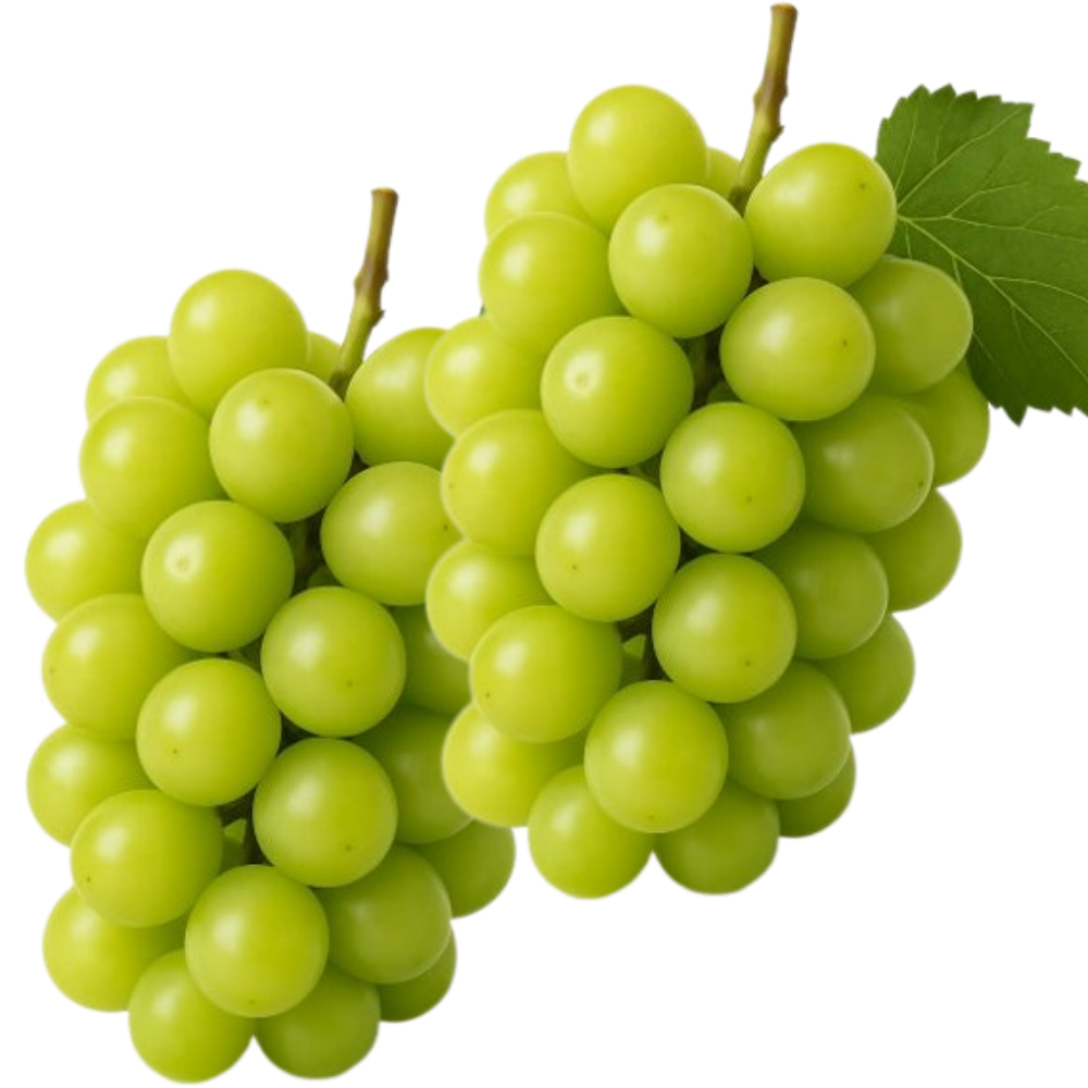 [부자농원] 프리미엄 고당도 샤인머스켓 33,500원