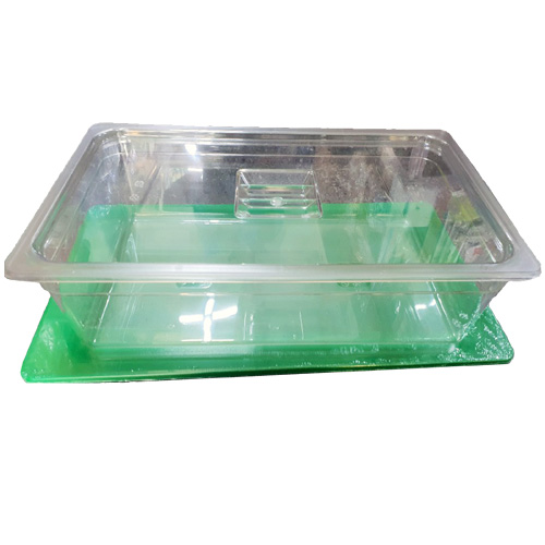 사이언쌤 뚜껑있는 사각수조, 1개 19,000원