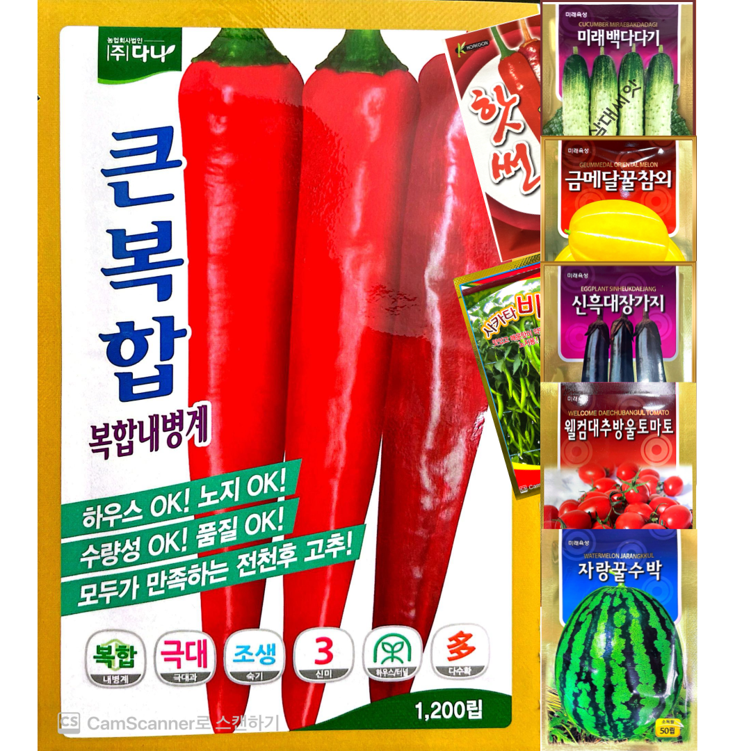 큰복합 고추씨앗 1200립 다나시드 150,000원