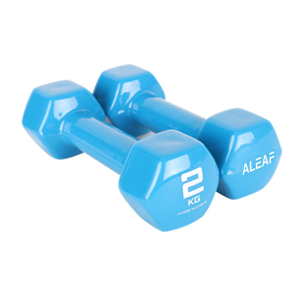 아리프 PVC 컬러 육각 덤벨, 2kg, 2개 18,200원