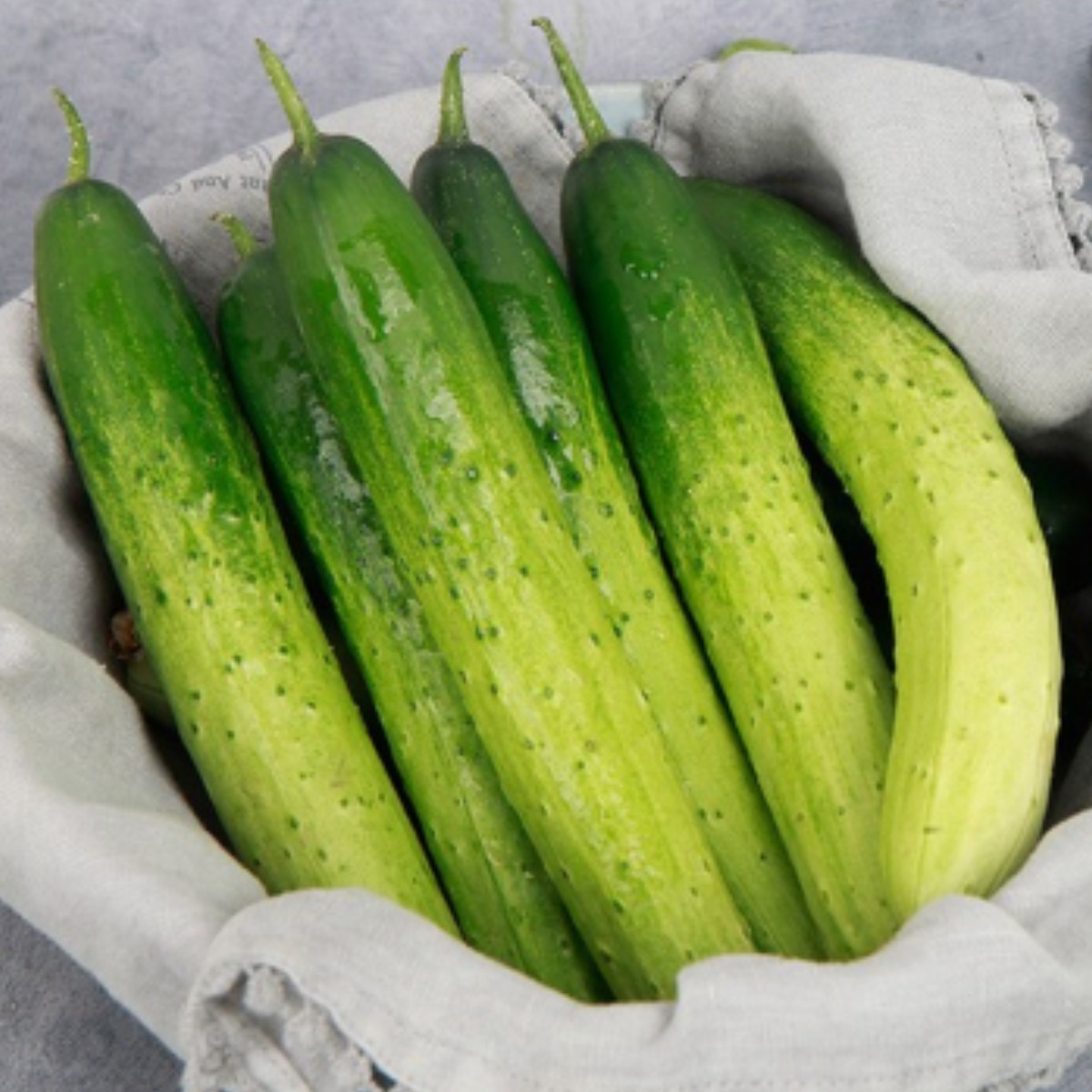 [맛딜]단단하고 아삭한 국내산 백오이 10kg 35,900원