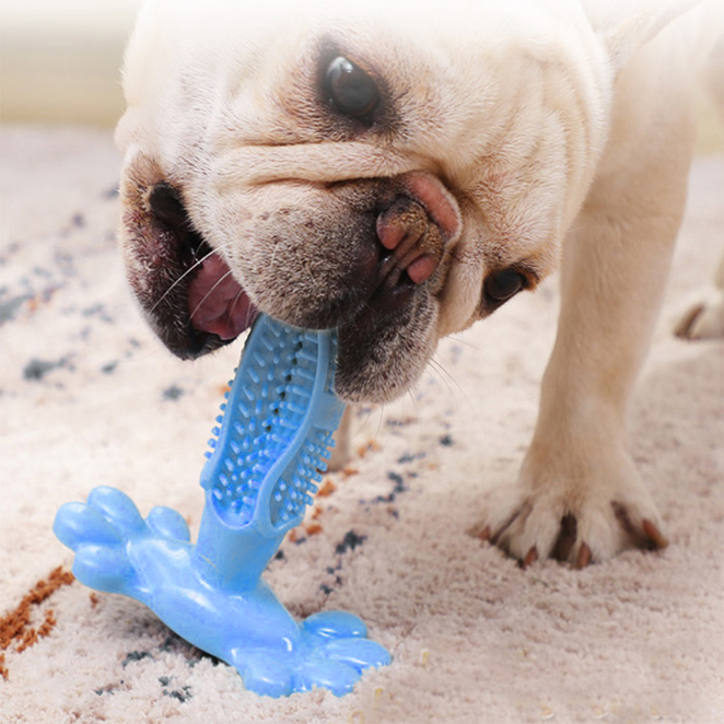 딩동펫 애견 덴티 셀프칫솔 중형 13,200원