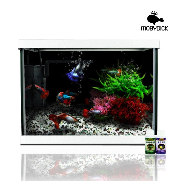 모비딕 32슬림 모던 유리 어항 세트 A300 거북이 구피 가정용 수족관 44,000원