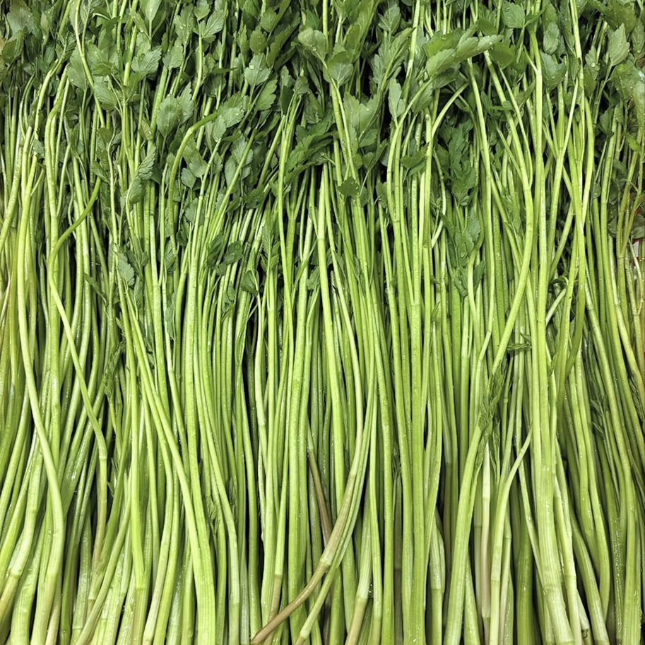 [단독특가] 특상품 당일수확 손질 미나리, 1박스, 4kg 39,900원