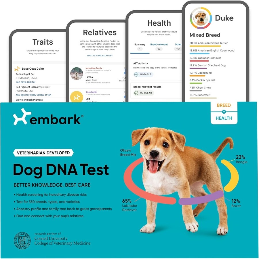 Embark 반려견 DNA 검사 키트: 품종, 건강 확인 238,700원