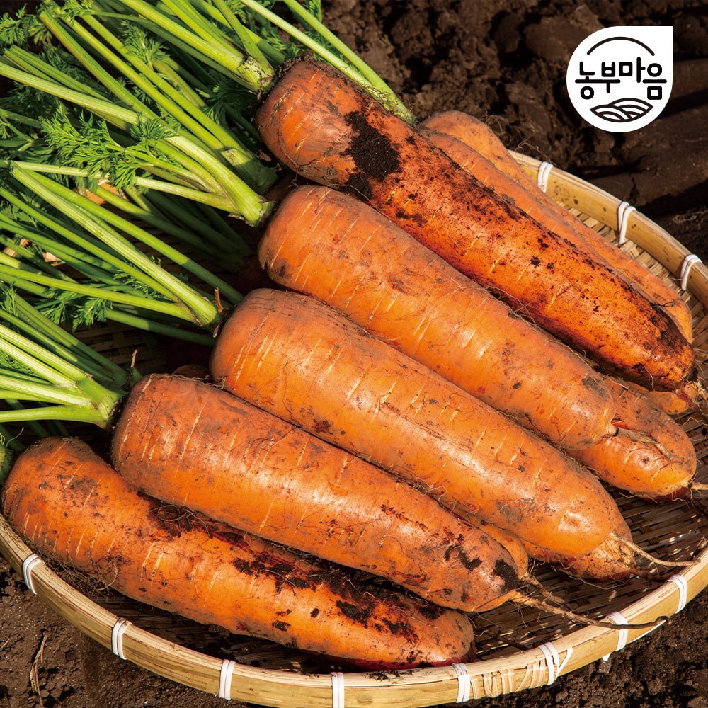 [농부마음] 신선한 국내산 흙당근 10,900원