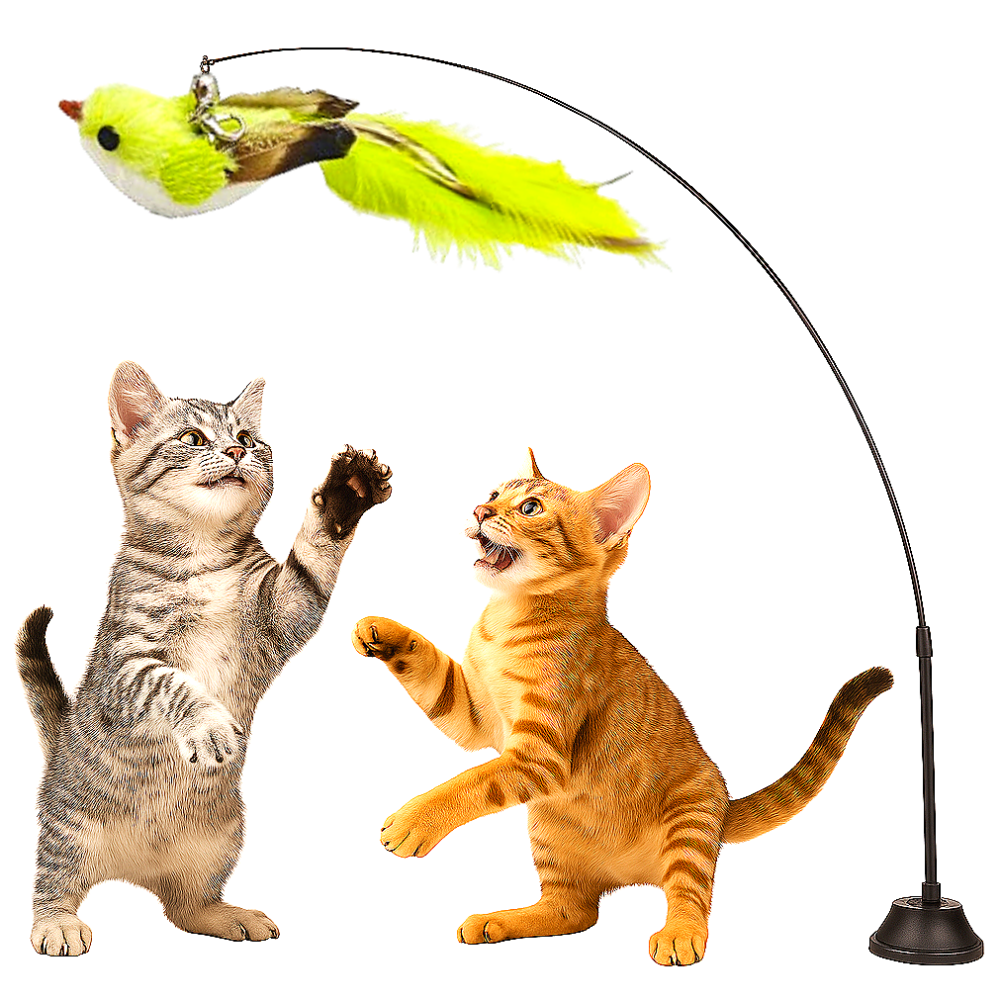 스마일플로우 진짜같은 사랑새 낚시대 풀세트 고양이 최애 튼튼 고정 장난감, 1세트, 라임 새 15,900원