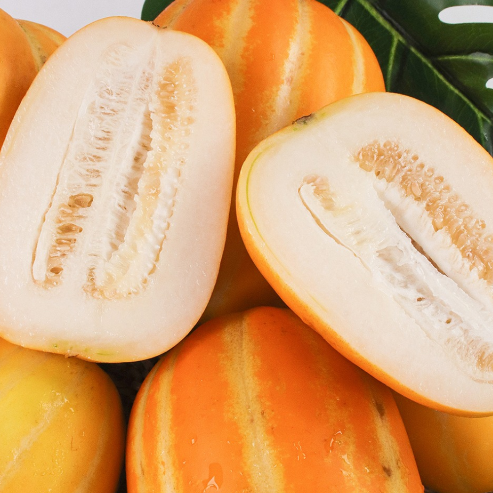 [26년햇수확] 아삭달콤 고당도 산지직송 성주참외 32,500원