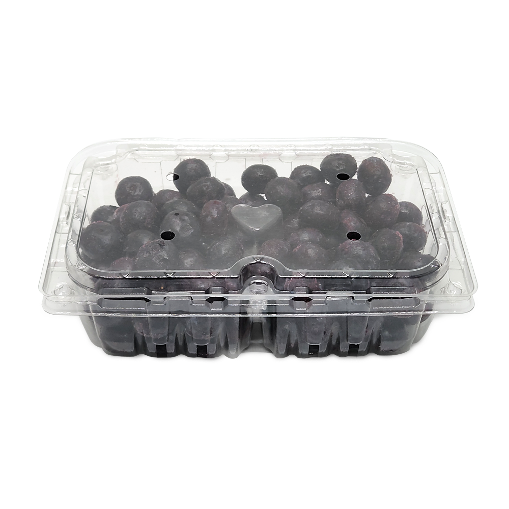 블루베리 포장 용기 200g 직사각 투명 PET 600개(1박스), 1박스, 600개 109,200원