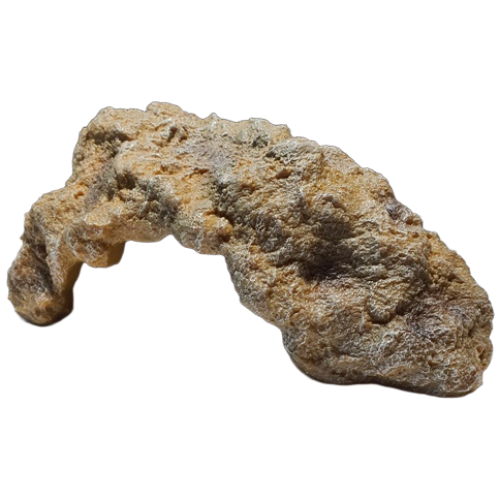 코너 돌 은신처 레오파드게코 은신처 도마뱀 은신처 크레스티드게코 은신처 (소),(중),(대), 1개 30,450원