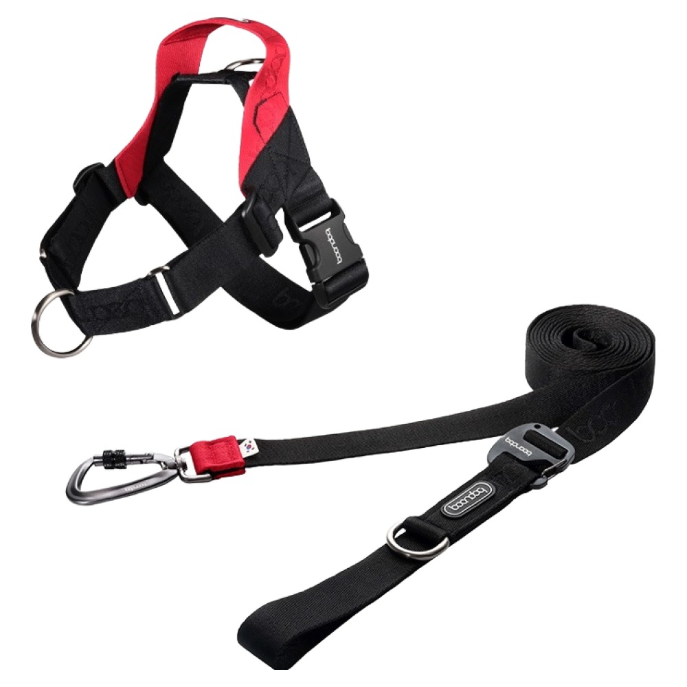 분독 강아지 플레이 카라비너 리쉬 2.5m + 0109 하네스 세트, 블랙, 1세트 100,700원