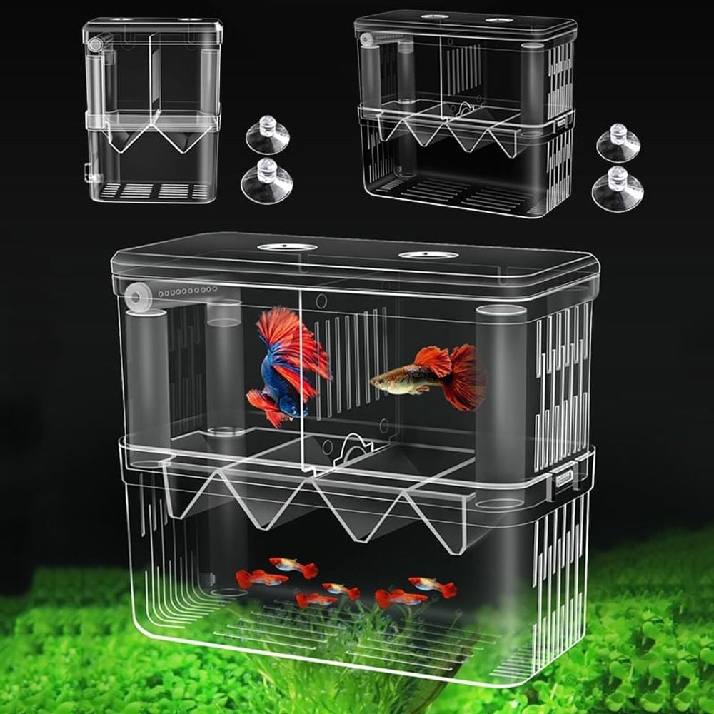 구피 열대어 부화통 번식함 격리통 치어통 소형 2칸79m1+2Kix 4,860원